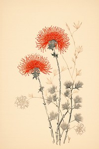 An isolated dandelion flower art drawing.