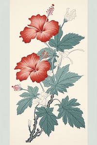 An isolated hibiscus flower art plant.