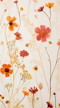 Real pressed summer flowers backgrounds wallpaper pattern.