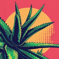 Vector illustrated of a aloe vera plant art backgrounds.