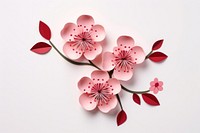Sakura flower blossom petal plant.