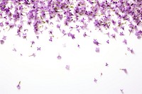 Lavender Floral confetti border backgrounds blossom flower.
