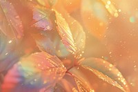 Leaf photo backgrounds glitter petal.