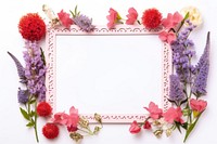 Lavender flower plant frame.
