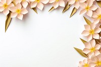 Oleander backgrounds pattern flower.
