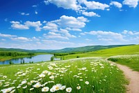 Spring and summer natural panoramic pastoral landscape grass field sky.