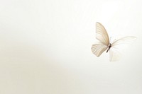 Small paper flying butterfly animal.