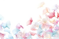 Petals backgrounds flower white background.