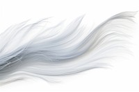 Winds backgrounds white white background.