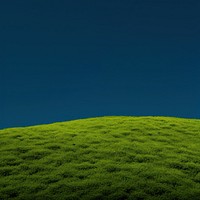 Photo of succulent feild green landscape outdoors.