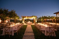 Vineyard wedding outdoors banquet chair.