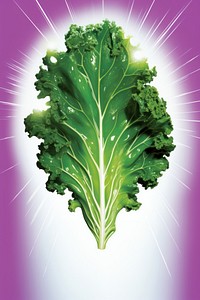 A fresh kale vegetable lettuce plant.