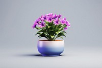 Flower pot purple plant vase.