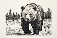 Bear bear wildlife drawing.