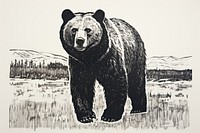 Bear bear wildlife drawing.