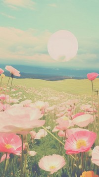 Flowers field landscape grassland outdoors blossom.