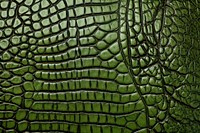 Crocodile skin texture backgrounds green leaf.