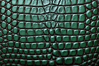 Crocodile skin texture backgrounds architecture repetition.