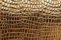 Gold crocodile skin texture backgrounds aluminium textured.