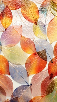 Art backgrounds autumn plant.