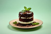 Chocolate mini cake chocolate dessert plant.