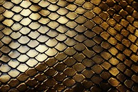 Snake skin texture backgrounds repetition chandelier.