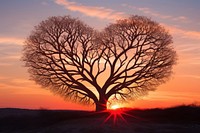 Heart-shaped tree silhouette formed nature landscape outdoors.