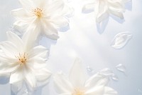 White flower background sun light backgrounds blossom petal.