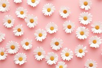 Wallpaper pattern flower daisy backgrounds.