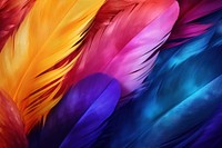 Abstract colourful feathers background backgrounds pattern lightweight.
