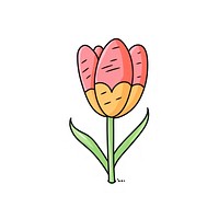 Doodle illustration tulip cartoon flower plant.