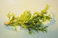 Seaweed seaweed painting plant.