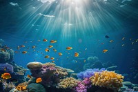 Underwater Sea underwater ocean fish.