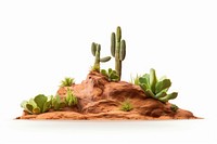 Desert cactus plant semi-arid.