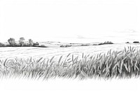 Wheat field drawing sketch agriculture.