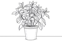 Minimal line houseplant drawing sketch illustrated.