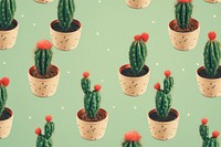 Cactus pattern plant backgrounds decoration.