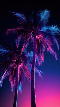 Neon glowing light with tropical palm trees outdoors tropics nature.