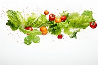 Vegetables lettuce plant food.