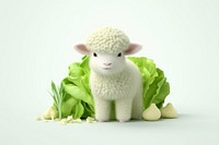 Baby sheep vegetable livestock animal.