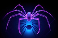 Neon spider wireframe arachnid animal insect.