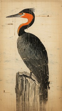 Cormorant animal bird beak.