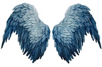Angel wings blue bird white background.