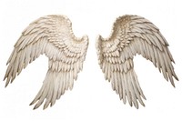 Angel wings white bird white background.