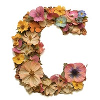 Alphabet C font flower wreath plant.