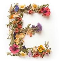 Alphabet E font flower wreath letter.