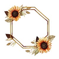 Sunflowers with golden hexagon frame circle plant white background.