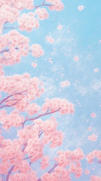 Cherry blossom backgrounds outdoors nature.