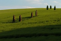 Photo of aliens landscape field grassland.