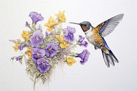 A hummingbird with yellow and purple flowers drawing animal flying.